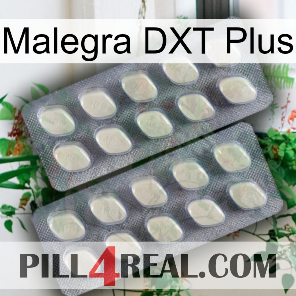 Malegra DXT Plus 07.jpg